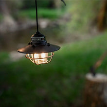 Barebones Edison pendant light in bronze vintage industrial lamp
