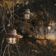 BareBones Edison string light copper vintage outdoor lighting for patio and garden