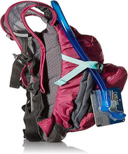 camelbak-mini-mule-50oz-hydration-backpack-baton-rouge-flames
