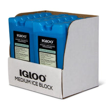 IGLOO Ice Block Medium blue cooler for camping, outdoor travel and food storage
