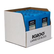 Igloo MaxCold large reusable ice freeze block for coolers