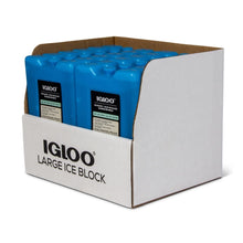 Igloo MaxCold large reusable ice freeze block for coolers