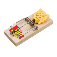 STV cheese pedal FSC rat trap humane reusable rodent control