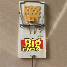 STV cheese pedal FSC rat trap humane reusable rodent control