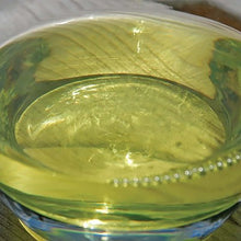 STV Citronella Torch Oil 1L mosquito repellent oil