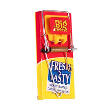 STV fresh baited mouse trap effective rodent control device