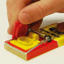 STV fresh baited mouse trap effective rodent control device