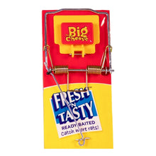 STV fresh baited rat trap ready to use for effective rodent control in home and garden