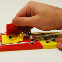 STV fresh baited rat trap ready to use for effective rodent control in home and garden