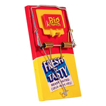 STV fresh baited rat trap ready to use for effective rodent control in home and garden