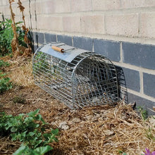 STV live multi-catch rat trap for effective rodent control