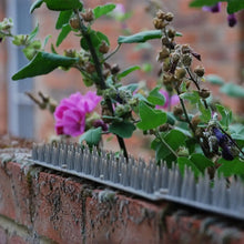 STV prickle strip garden fence topper 45cm for effective security