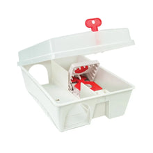STV ready-baited rat trap kit for effective rodent control