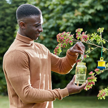 STV reusable fly catcher twin pack for eco-friendly fly control
