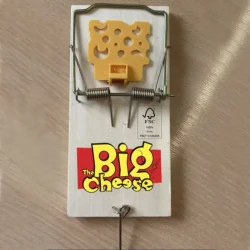 STV  Cheese Pedal FSC Rat Trap - Image 3