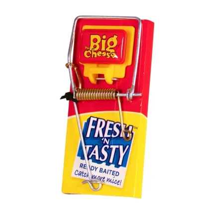 STV Fresh Baited Mouse Trap