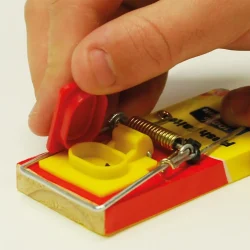 STV  Fresh Baited Mouse Trap - Image 5