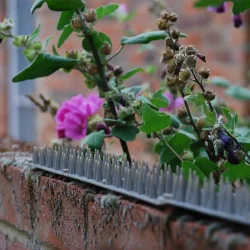 STV  Prickle Strip Garden Fence Topper - 45cm - Image 3